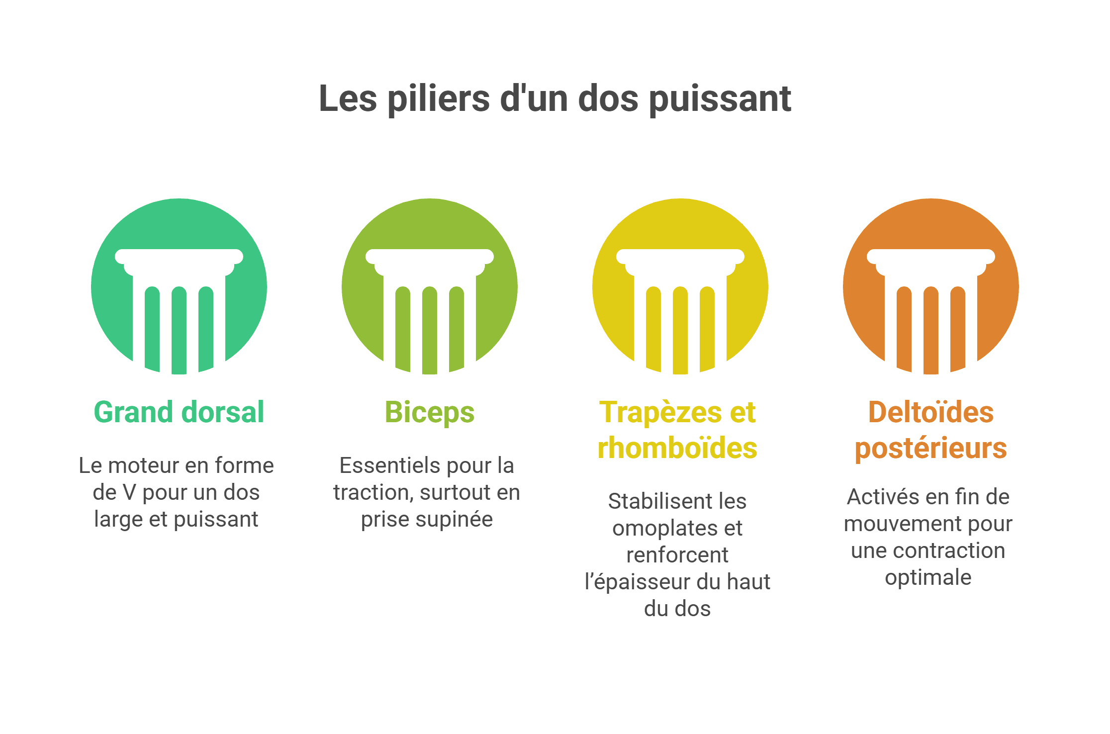 Remplacer tractions en musculation : 6 exos tous niveaux
