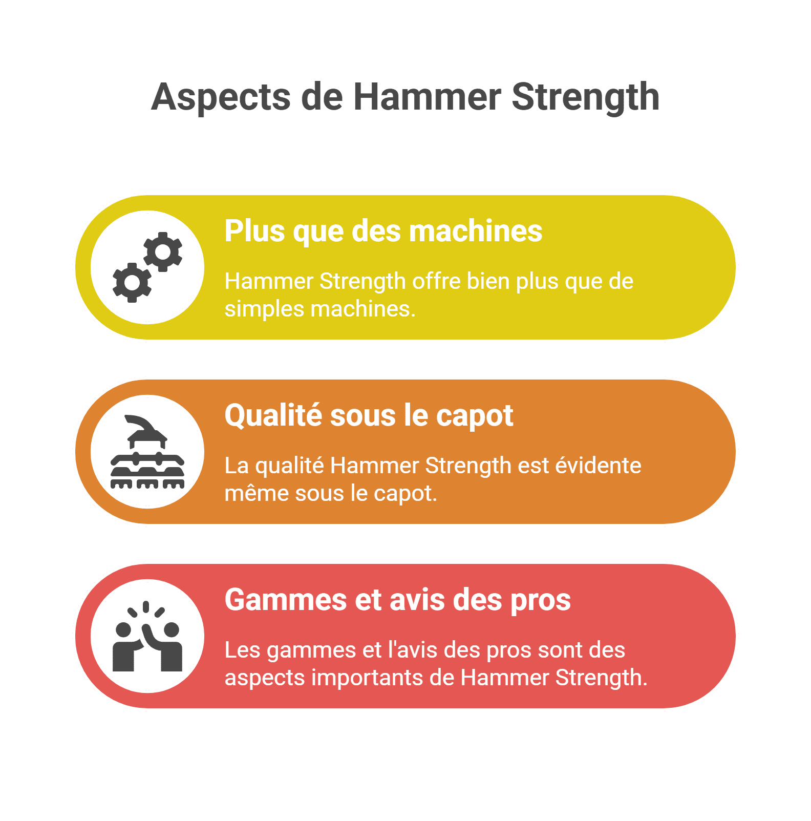 Équipement Hammer Strength - Avis et guide pro [2026]