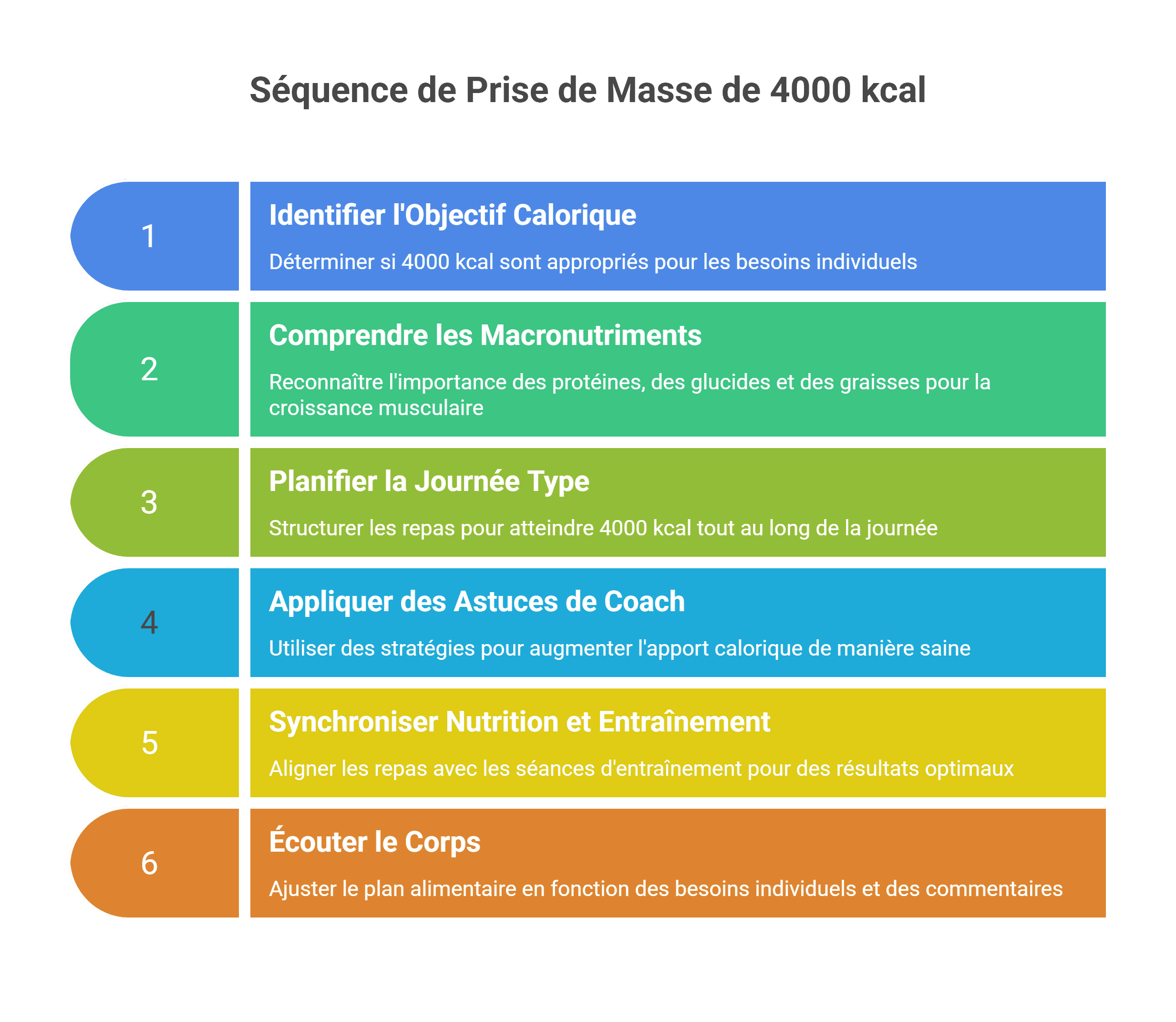 Menu prise de masse 4000 kcal - le guide complet 2026